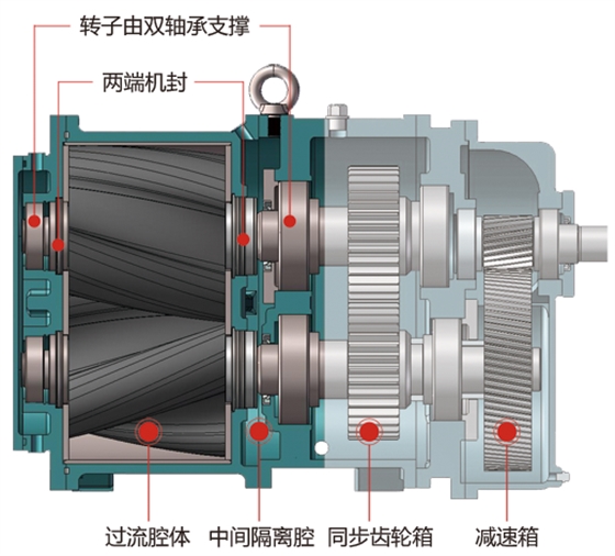 轉(zhuǎn)子泵雙支撐軸設(shè)計