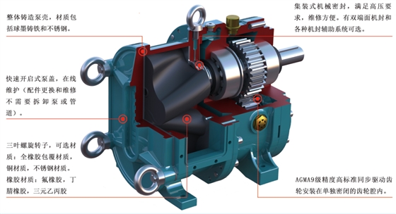 轉(zhuǎn)子泵結構